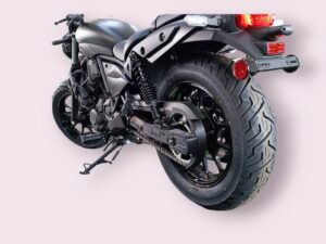 CleandisC chainguard Eliminator 500