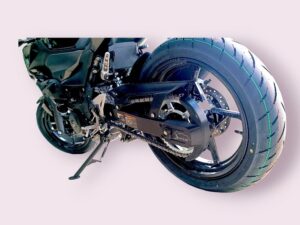 CleandisC chainguard Z500