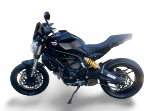 CleandisC chainguard Ducati Monster 797