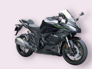 CleandisC Kettenschutz Kawasaki Ninja 1100 SX