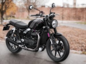 CleandisC Kettenschutz Triumph Speed Twin 900